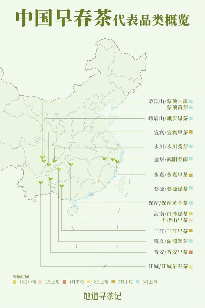 地道寻茶记-中国第一杯早春茶到底在哪里